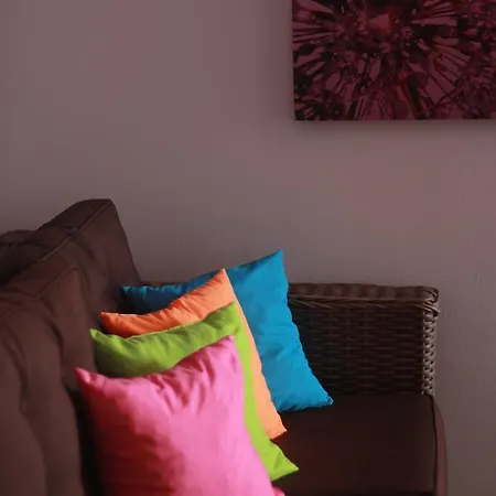 شقة Colorful L&s *